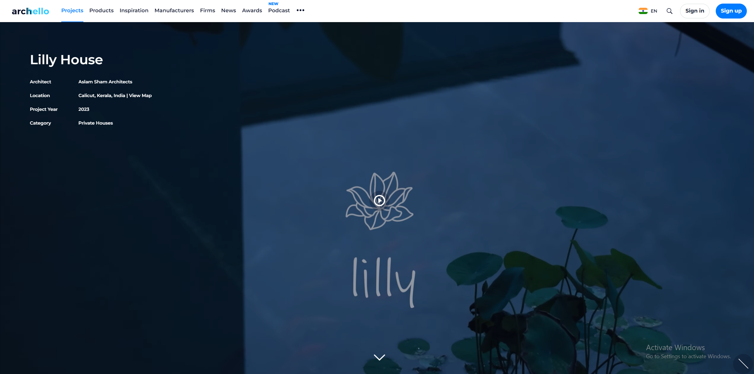 lilly | archello